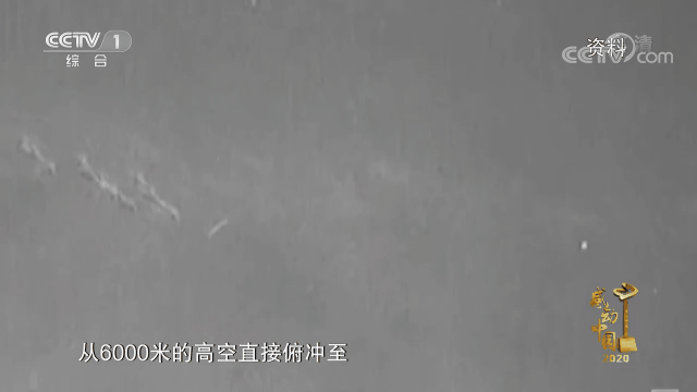 5.gif
