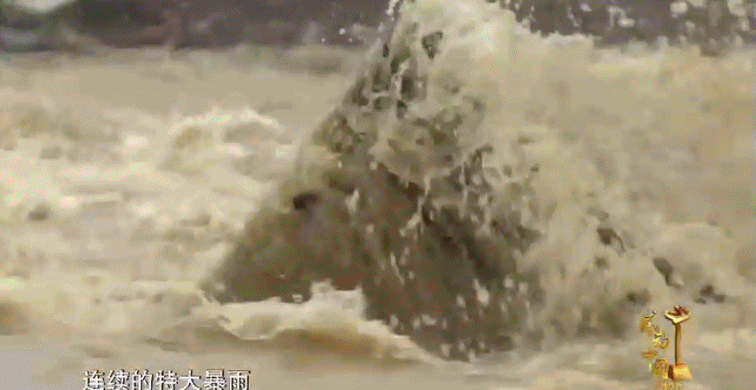 9.gif