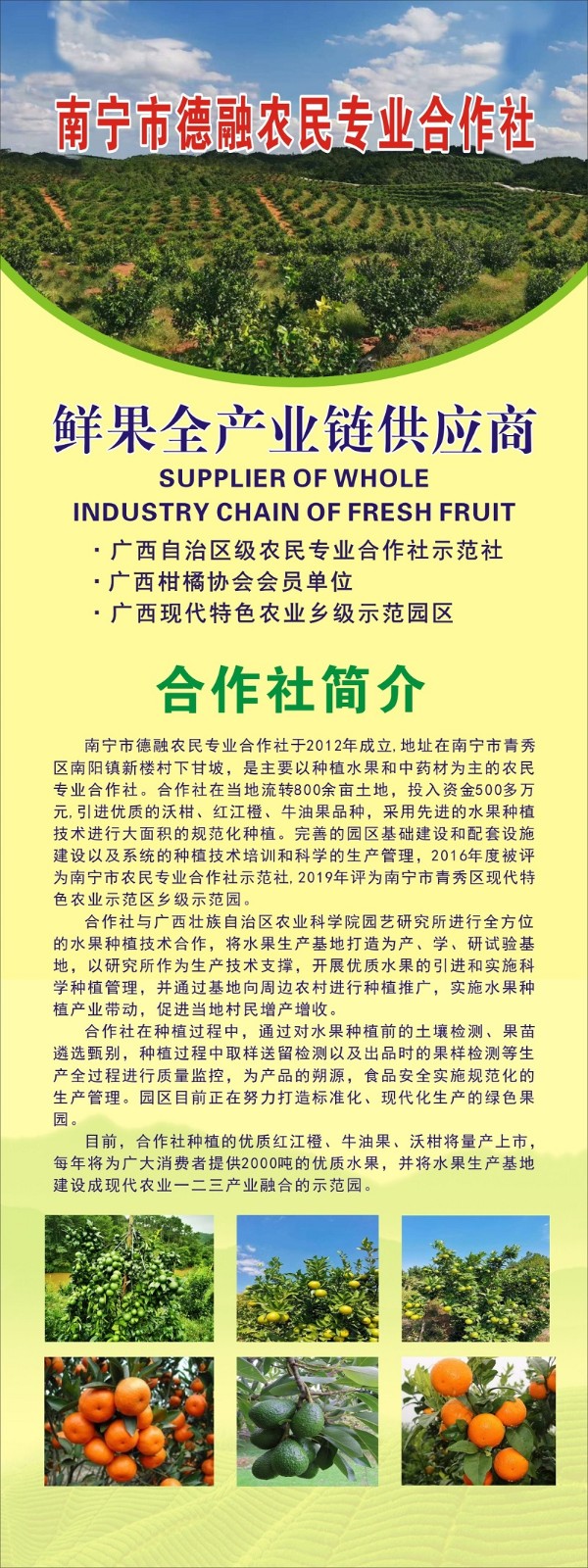 合作社.jpg