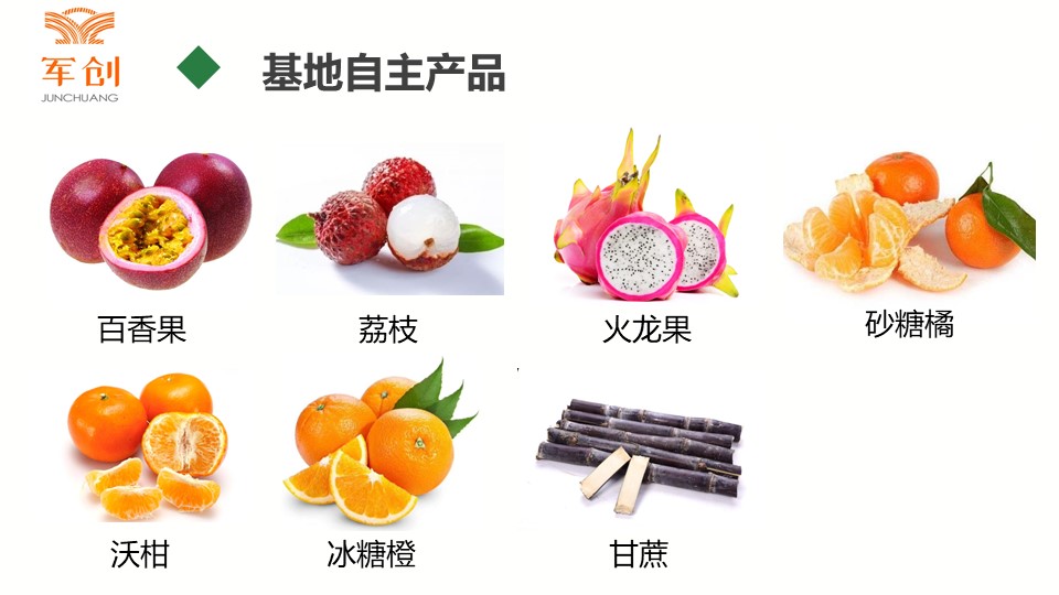 2_广西军创联盟农业有限公司 商业计划书8.2.jpg