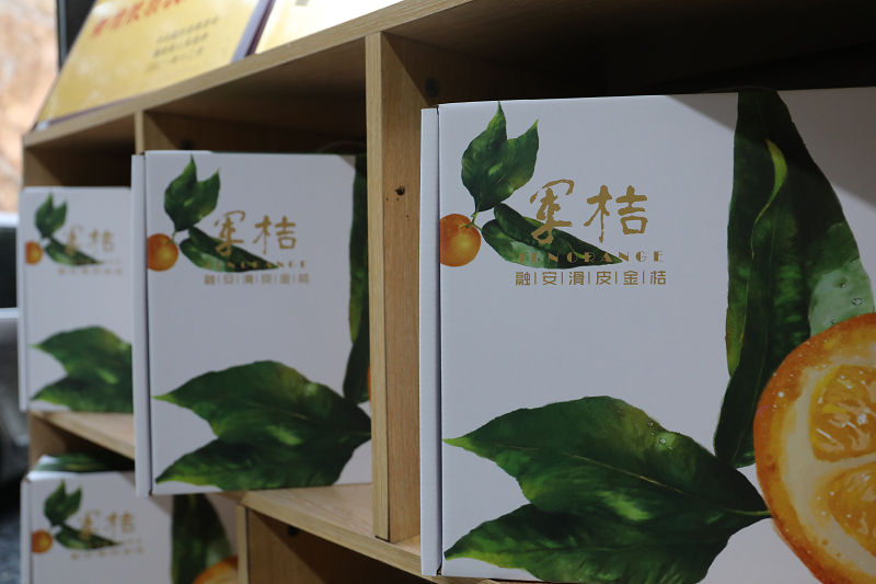 图片13.png