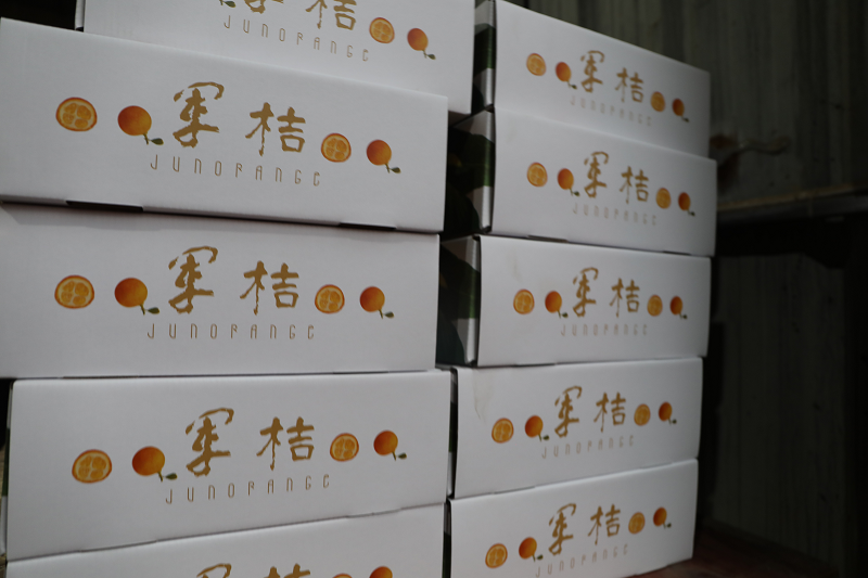 图片16.png