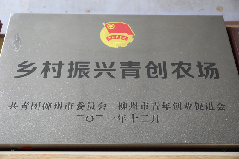 图片19.png