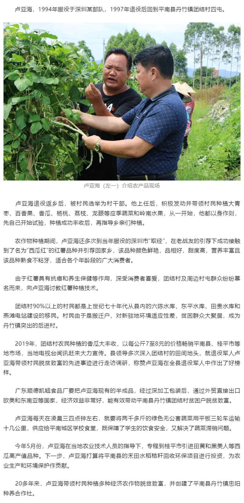 退役军人返乡创业，瓜果种植蹚出“致富路”.png