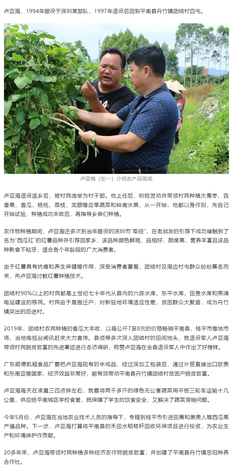 退役军人返乡创业，瓜果种植蹚出“致富路”.png