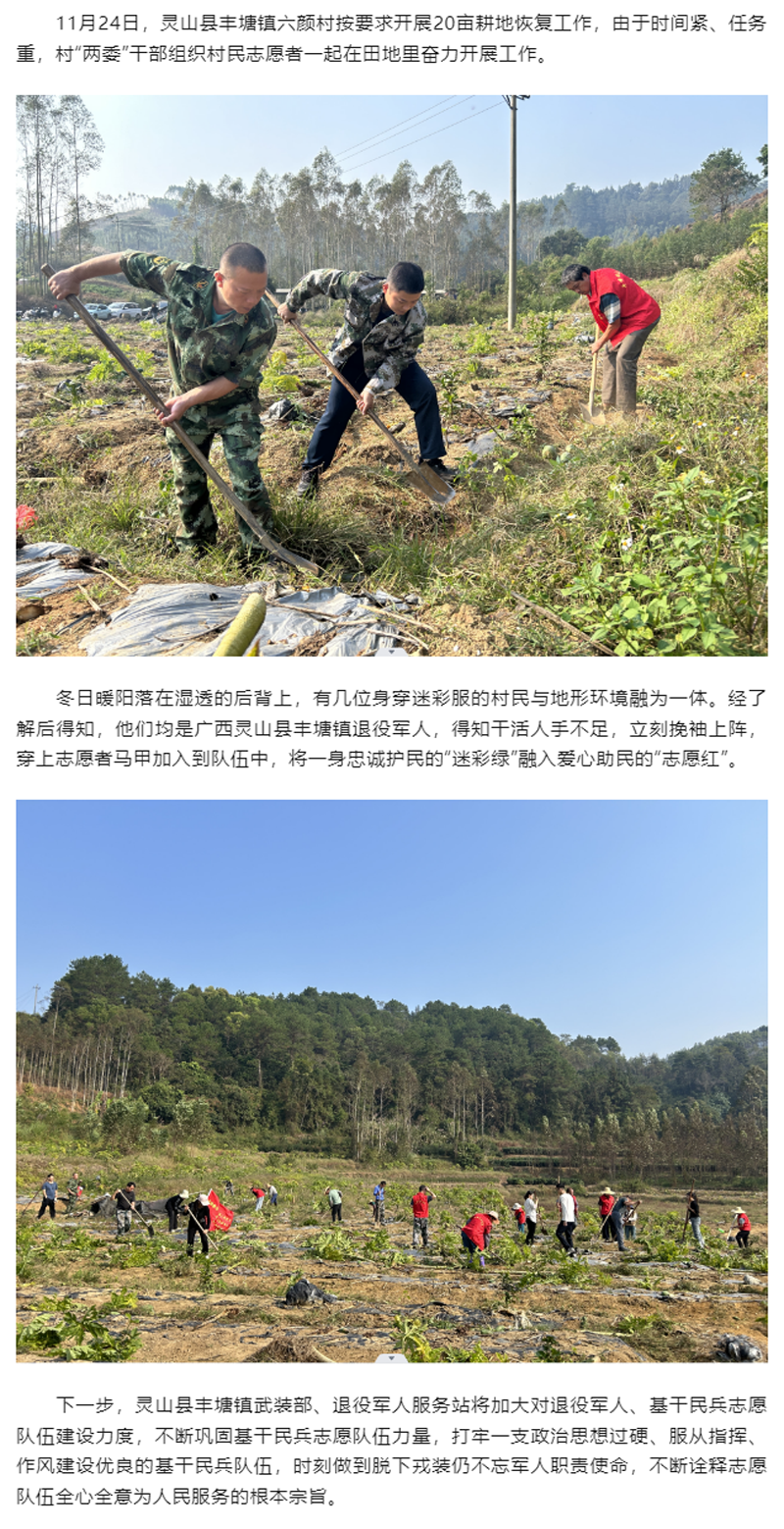 最亮的那一抹“迷彩绿”.png