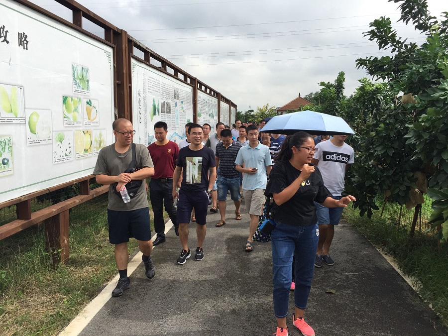 走进新农村,参观南宁美丽南方台湾水果产业园.jpg